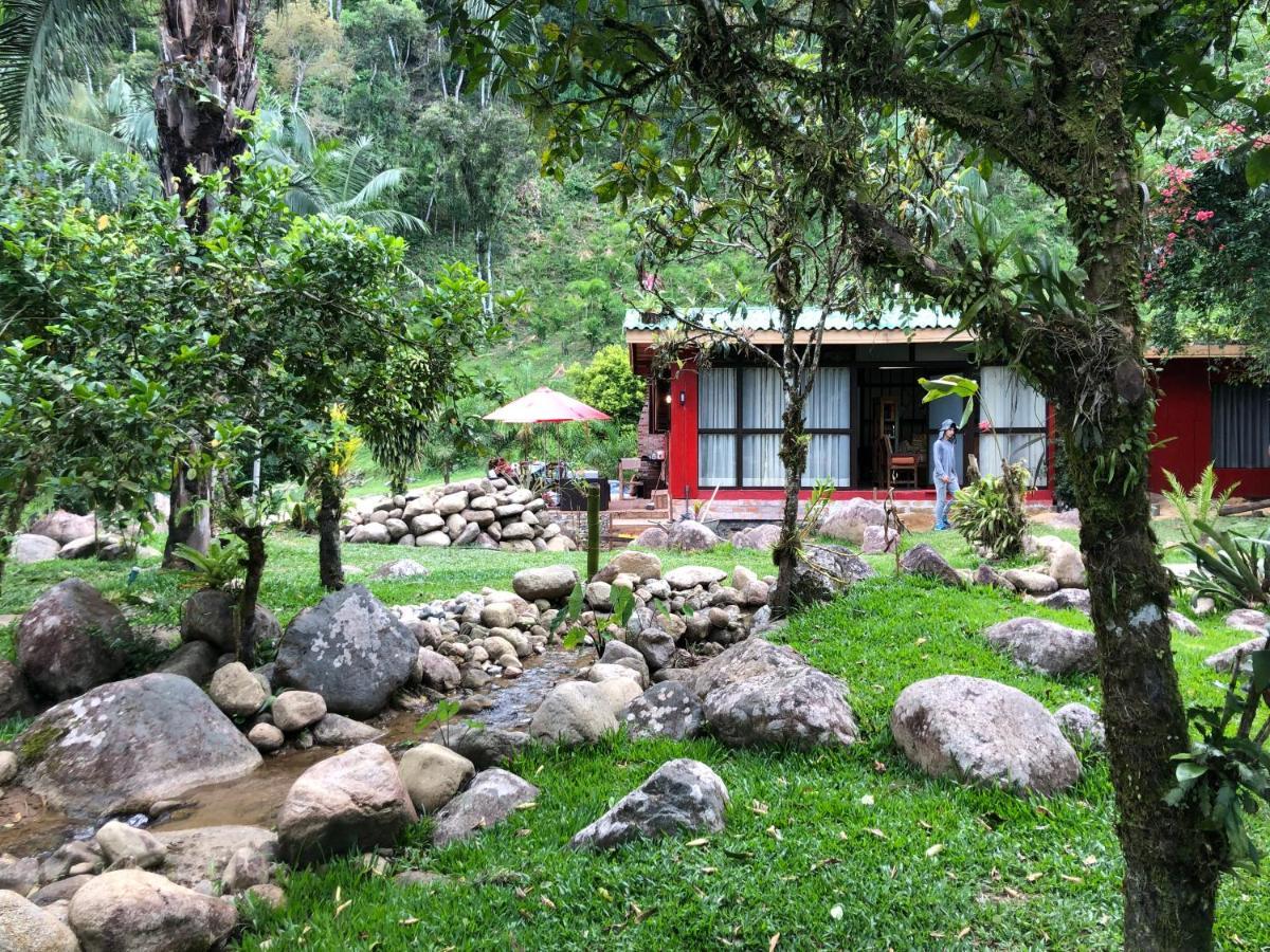Casa da Mata Eco Lodge Antonina Exterior foto